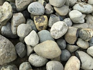 Dungeness Valley River Rock1